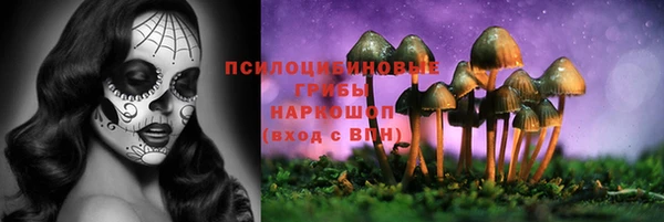 шишки Баксан