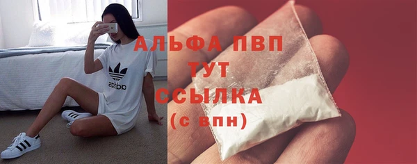 шишки Баксан