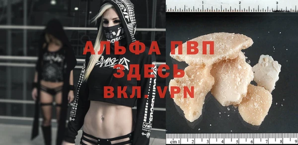 шишки Баксан