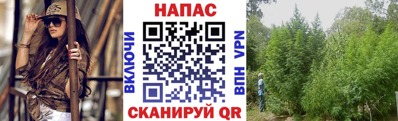 Шишки марихуана план Реутов
